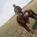 ���������� ������, ���� ������� �����, 40 ���, ������������ ��� ������, ����� � ���������