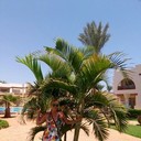 ���������� �����, ���� ������� ������� ����, 53 ����, ������������ ��� ������, ����� � ���������, c�������� ���������