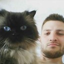  ,   , 37 ,   