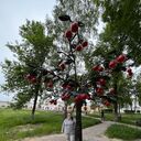 ���������� ������, ���� ������� ����, 35 ���, ������������ ��� c�������� ���������