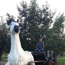 ���������� �����-���������, ���� ������� ������, 40 ���, ������������ ��� ������, ����� � ���������, c�������� ���������