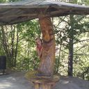 ���������� ��������������, ���� ������� �����, 46 ���, ������������ ��� ����� � ���������, c�������� ���������