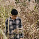 ���������� �����-���������, ���� ������� ���� �����, 38 ���, ������������ ��� ����� � ���������, c�������� ���������