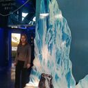 ���������� ���������, ���� ������� �������, 48 ���, ������������ 