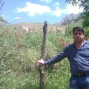 ���������� ������ ��������, ���� ������� ����, 51 ���, ������������ ��� ������, ����� � ���������