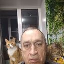   ,   , 66 ,   c 