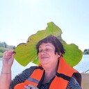   ,   , 58 ,   ,   