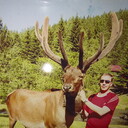 ���������� ������, ���� ������� �������, 44 ����, ������������ ��� ������, ����� � ���������, c�������� ���������