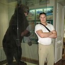  ,   , 44 ,   ,   , 