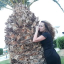 ���������� ������, ���� ������� ���, 38 ���, ������������ ��� ������, ����� � ���������, c�������� ���������