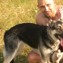 ���������� ������, ���� ������� ������, 41 ���, ������������ ��� ������, ����� � ���������, c�������� ���������