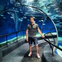 ���������� �����, ���� ������� Maks, 39 ���, ������������ ��� ������, ����� � ���������