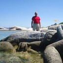  Naaldwijk,   Peterz, 57 ,   ,   , c , 