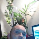 ���������� �������, ���� ������� ���������, 42 ����, ������������ ��� ������, ����� � ���������, c�������� ���������, ���������