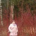 ���������� �����-���������, ���� ������� ������, 61 ���, ������������ ��� ���������