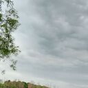 ���������� ������, ���� ������� ���������, 44 ����, ������������ ��� ������, ����� � ���������, c�������� ���������, ���������