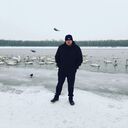 ���������� �����, ���� ������� ����, 41 ���, ������������ 