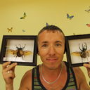 ���������� ������, ���� ������� Niko, 50 ���, ������������ ��� ������