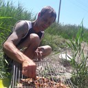 ���������� ����������, ���� ������� ������, 45 ���, ������������ ��� ������, ����� � ���������, c�������� ���������