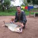  ,   ValFish, 82 ,  