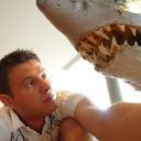 ���������� ������, ���� ������� Rytsar1, 41 ���, ������������ ��� ������, ����� � ���������, c�������� ���������