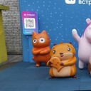 ���������� ����������, ���� ������� �������, 48 ���, ������������ ��� ������, ����� � ���������, c�������� ���������, ���������