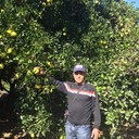 ���������� ������������, ���� ������� ���, 56 ���, ������������ 