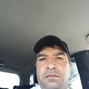 ���������� ������, ���� ������� Safar, 48 ���, ������������ ��� ������, ����� � ���������, c�������� ���������