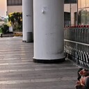 ���������� �����-���������, ���� ������� ���, 42 ����, ������������ ��� ������, ����� � ���������, c�������� ���������