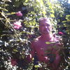  ,   , 46 ,   ,   , c 