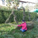  ,   , 50 ,   ,   , c 