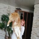  ,   , 53 ,   