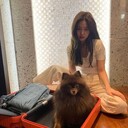 ���������� �����-���������, ���� ������� �����, 24 ����, ������������ ��� ������, ����� � ���������, c�������� ���������