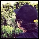  ,   Sherik, 33 ,   ,   , c 