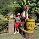  ,   , 54 ,   ,   