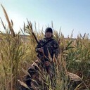 ���������� �������, ���� ������� �����, 41 ���, ������������ ��� ������, ����� � ���������