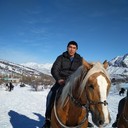  ,   Olim, 42 ,     , c 