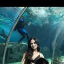  ,   , 26 ,  