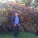 ���������� ������, ���� ������� Safarali, 46 ���, ������������ ��� ������, ����� � ���������