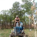  ,   , 43 ,   