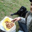 ���������� �������, ���� ������� ������, 36 ���, ������������ ��� ������, ����� � ���������, c�������� ���������