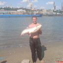  --,   , 61 ,   ,   , c 