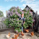 ���������� ������, ���� ������� ������ �����, 66 ���, ������������ ��� ����� � ���������, c�������� ���������, ���������