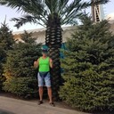  ,   , 41 ,   ,   , c , 