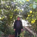  ,   , 56 ,   ,   