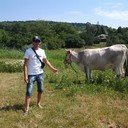 ���������� ����������, ���� ������� �������, 36 ���, ������������ ��� ������, ����� � ���������, c�������� ���������