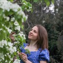 ���������� ���������, ���� ������� ���, 27 ���, ������������ ��� ������, ����� � ���������, c�������� ���������, ���������