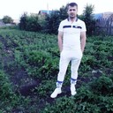 ���������� ������������, ���� ������� Harif, 36 ���, ������������ ��� ������, ����� � ���������, c�������� ���������, ���������