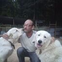 ���������� ���������, ���� ������� �����, 54 ����, ������������ ��� ������, ����� � ���������, c�������� ���������