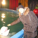  ,   , 36 ,   ,   , c , 